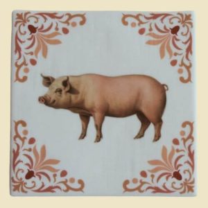 varken-tegeltje met afbeelding