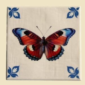 vlinder tegeltje blauw leuke tegeltjes