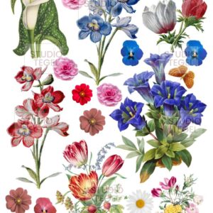 vintage bloemen afbeeldingen voor servies DIY -studio tegel