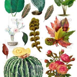Decal sheets Planten- Studio Tegel