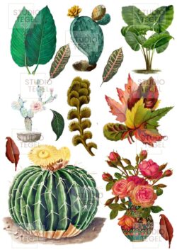 Decal sheets Planten- Studio Tegel