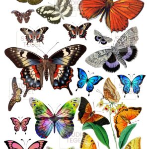 Decal sheets Vlinders- Studio Tegel