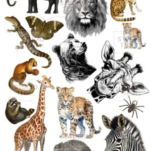 Decal vellen Wilde dieren- Studio Tegel